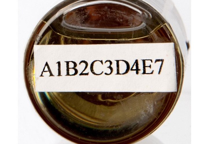 p1RtjA95lEvrtvN6SiZA-1